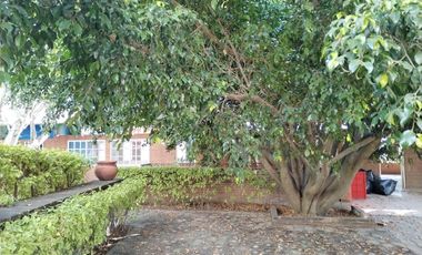 Edificio  en Lomas de Zompantle Cuernavaca - CRB-1158-Ed#