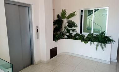 Oficina o Consultorio en venta en Col. Vista Hermosa  Oficinas y bienes raíces en venta en Cuernavaca, Morelos