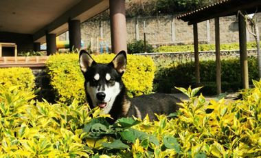 HOTEL, SPA, CLÍNICA, CASA DE FIN DE SEMANA.