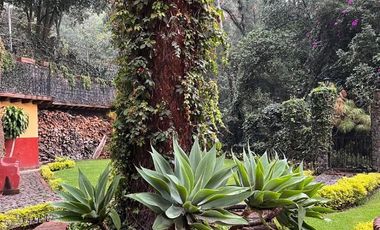 PROPIEDAD EN COLONIA DEL BOSQUE EN CUERNAVACA MORELOS CON JARDÍN PRIVADO Y VIGILANCIA
