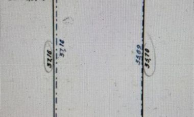 CASA CON DOS LOCALES SOBRE AVENIDA