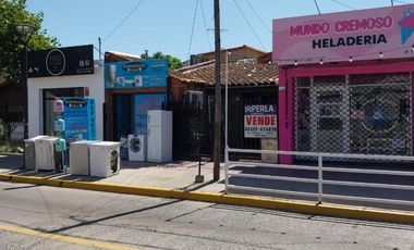 Casa centrica y a 2 cuadras de la Estacion con dos locales