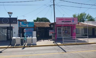 Casa centrica y a 2 cuadras de la Estacion con dos locales