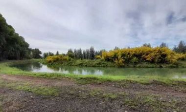 Parcela en venta en MULCHÉN