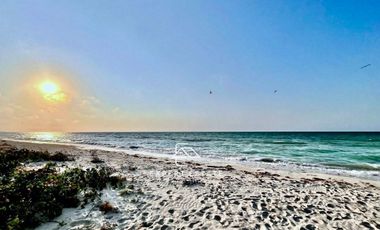 PH rooftop privado SISAL - Oferta villa frente al mar / Sale beachfront villa