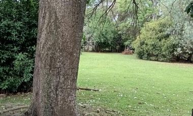 excelente quinta en Paso del Rey