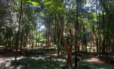 Lote en venta en Panambi