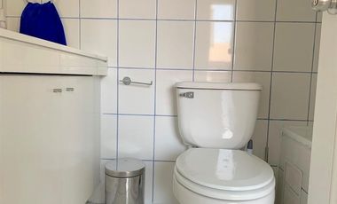 Departamento Amoblado en Arriendo en A PASOS ESTACION METRO BELLAS ARTES