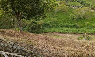 LOTE EN VENTA VÍA ALCALÁ EN PEREIRA