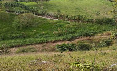 LOTE EN VENTA VÍA ALCALÁ EN PEREIRA