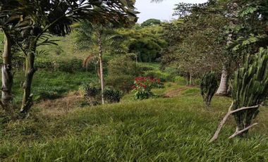 LOTE EN VENTA VÍA ALCALÁ EN PEREIRA