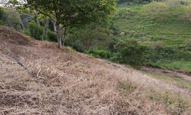 LOTE EN VENTA VÍA ALCALÁ EN PEREIRA