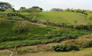 LOTE EN VENTA VÍA ALCALÁ EN PEREIRA