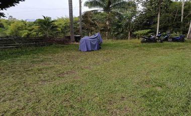 LOTE EN VENTA VÍA ALCALÁ EN PEREIRA