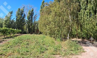 En Venta, Chacra,  Limite Neuquén y Plottier, Calle Rio Colorado