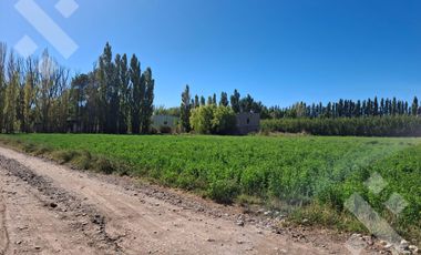 En Venta, Chacra,  Limite Neuquén y Plottier, Calle Rio Colorado