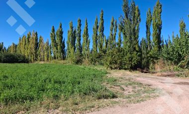 En Venta, Chacra,  Limite Neuquén y Plottier, Calle Rio Colorado
