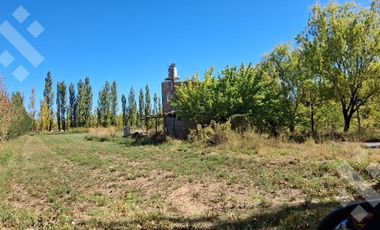 En Venta, Chacra,  Limite Neuquén y Plottier, Calle Rio Colorado