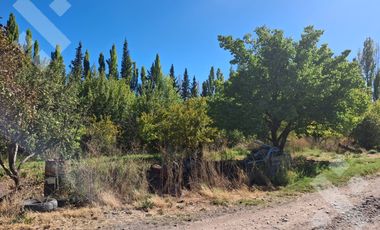 En Venta, Chacra,  Limite Neuquén y Plottier, Calle Rio Colorado