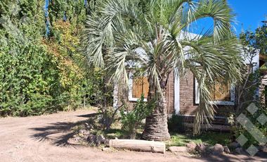 En Venta, Chacra,  Limite Neuquén y Plottier, Calle Rio Colorado