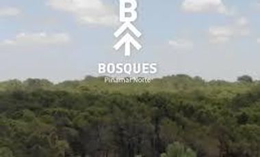 Terreno en venta en Pinamar Norte Barrio Bosques