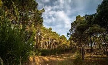 Terreno en venta en Pinamar Norte Barrio Bosques