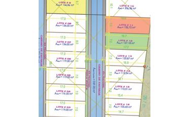 VENTA DE LOTES ALDANA NARIÑO