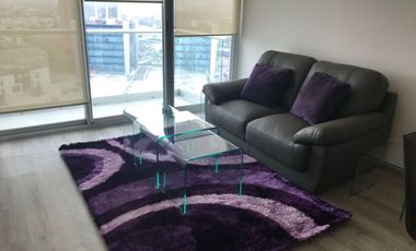 DEPARTAMENTO EN RENTA NUEVO SUR