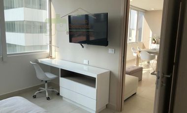 Departamento en renta en Manuel Avila Camacho Toreo
