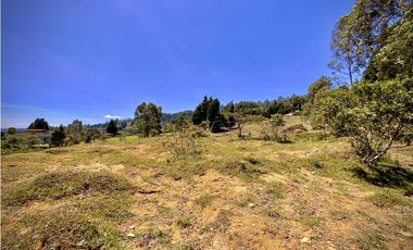 Venta Lote Bodega o Proyecto Apartamentos Guarne Autopista