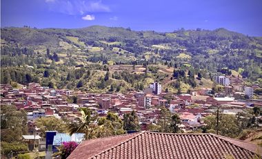 Venta Lote Bodega o Proyecto Apartamentos Guarne Autopista