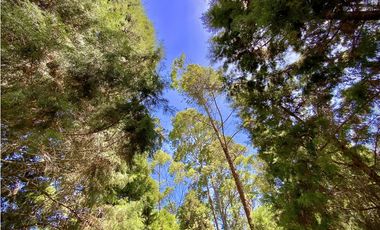 Venta Lote Bodega o Proyecto Apartamentos Guarne Autopista