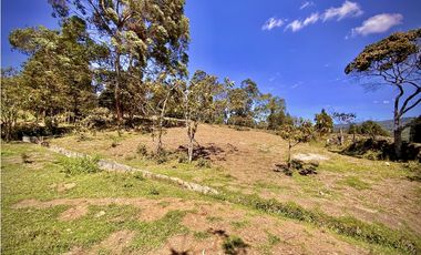 Venta Lote Bodega o Proyecto Apartamentos Guarne Autopista