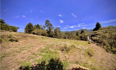 Venta Lote Bodega o Proyecto Apartamentos Guarne Autopista
