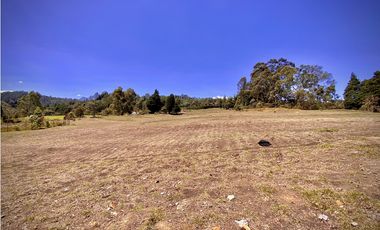 Venta Lote Bodega o Proyecto Apartamentos Guarne Autopista