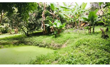 FINCA EL PARAISO SANTA ISABEL MESITAS DEL COLEGIO. CUNDINAMARCA