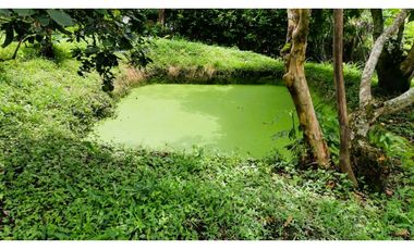 FINCA EL PARAISO SANTA ISABEL MESITAS DEL COLEGIO. CUNDINAMARCA