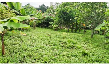 FINCA EL PARAISO SANTA ISABEL MESITAS DEL COLEGIO. CUNDINAMARCA