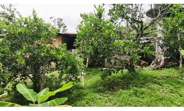 FINCA EL PARAISO SANTA ISABEL MESITAS DEL COLEGIO. CUNDINAMARCA