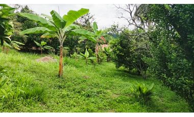 FINCA EL PARAISO SANTA ISABEL MESITAS DEL COLEGIO. CUNDINAMARCA