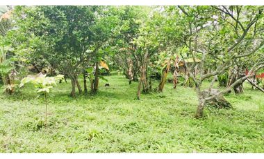 FINCA EL PARAISO SANTA ISABEL MESITAS DEL COLEGIO. CUNDINAMARCA