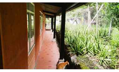 FINCA EL PARAISO SANTA ISABEL MESITAS DEL COLEGIO. CUNDINAMARCA