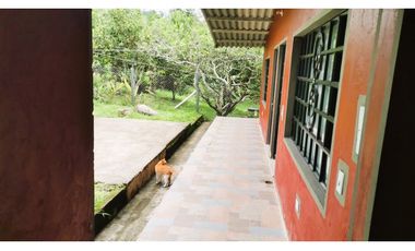 FINCA EL PARAISO SANTA ISABEL MESITAS DEL COLEGIO. CUNDINAMARCA