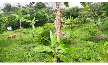 FINCA EL PARAISO SANTA ISABEL MESITAS DEL COLEGIO. CUNDINAMARCA