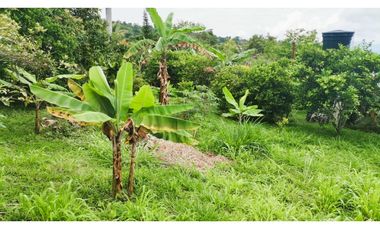 FINCA EL PARAISO SANTA ISABEL MESITAS DEL COLEGIO. CUNDINAMARCA