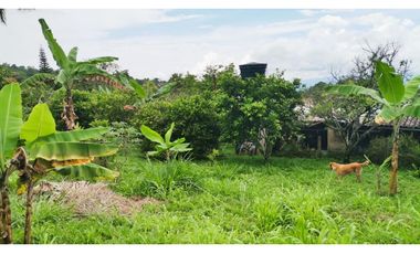 FINCA EL PARAISO SANTA ISABEL MESITAS DEL COLEGIO. CUNDINAMARCA