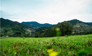 Finca en venta  de 344 HAS en Cerro Punta-Chiriquí (AA)