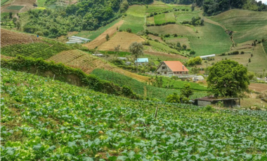 Finca en venta  de 344 HAS en Cerro Punta-Chiriquí (AA)