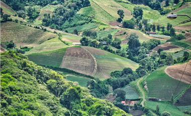 Finca en venta  de 344 HAS en Cerro Punta-Chiriquí (AA)