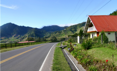 Finca en venta  de 344 HAS en Cerro Punta-Chiriquí (AA)